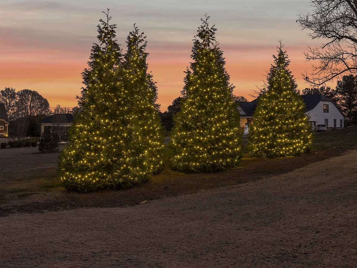 Christmas light service